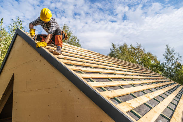 Best Roof Gutter Cleaning  in Richton Park, IL