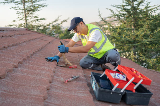 Best Commercial Roofing Services  in Richton Park, IL