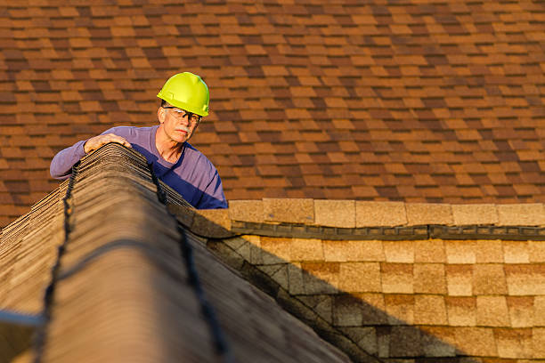 Best Roof Maintenance Services  in Richton Park, IL